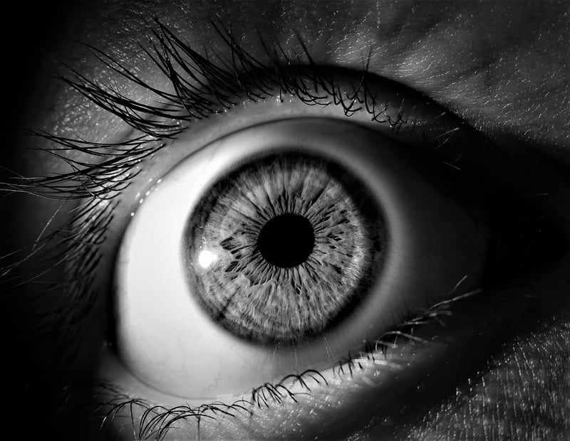 Eyes